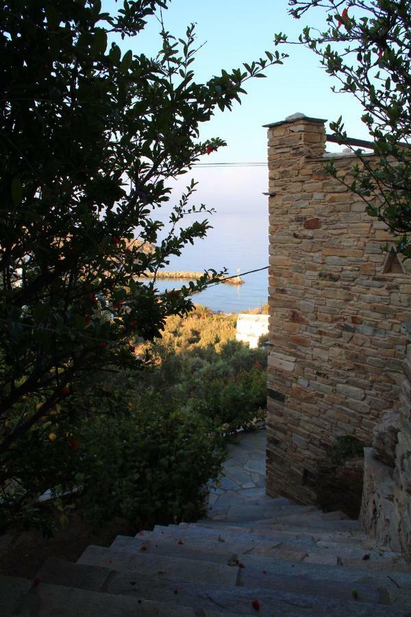 Cozy Guesthouse - Agios Romanos Zewnętrze zdjęcie