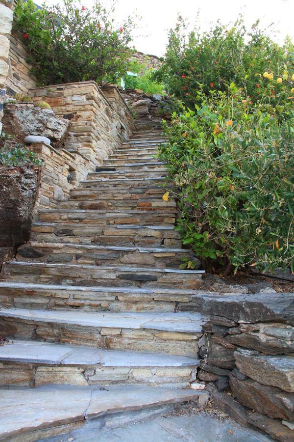 Cozy Guesthouse - Agios Romanos Zewnętrze zdjęcie